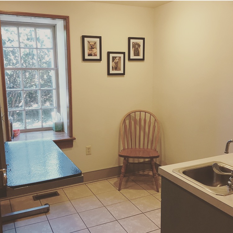 Creature Comforts Veterinary Hospital Dog Room