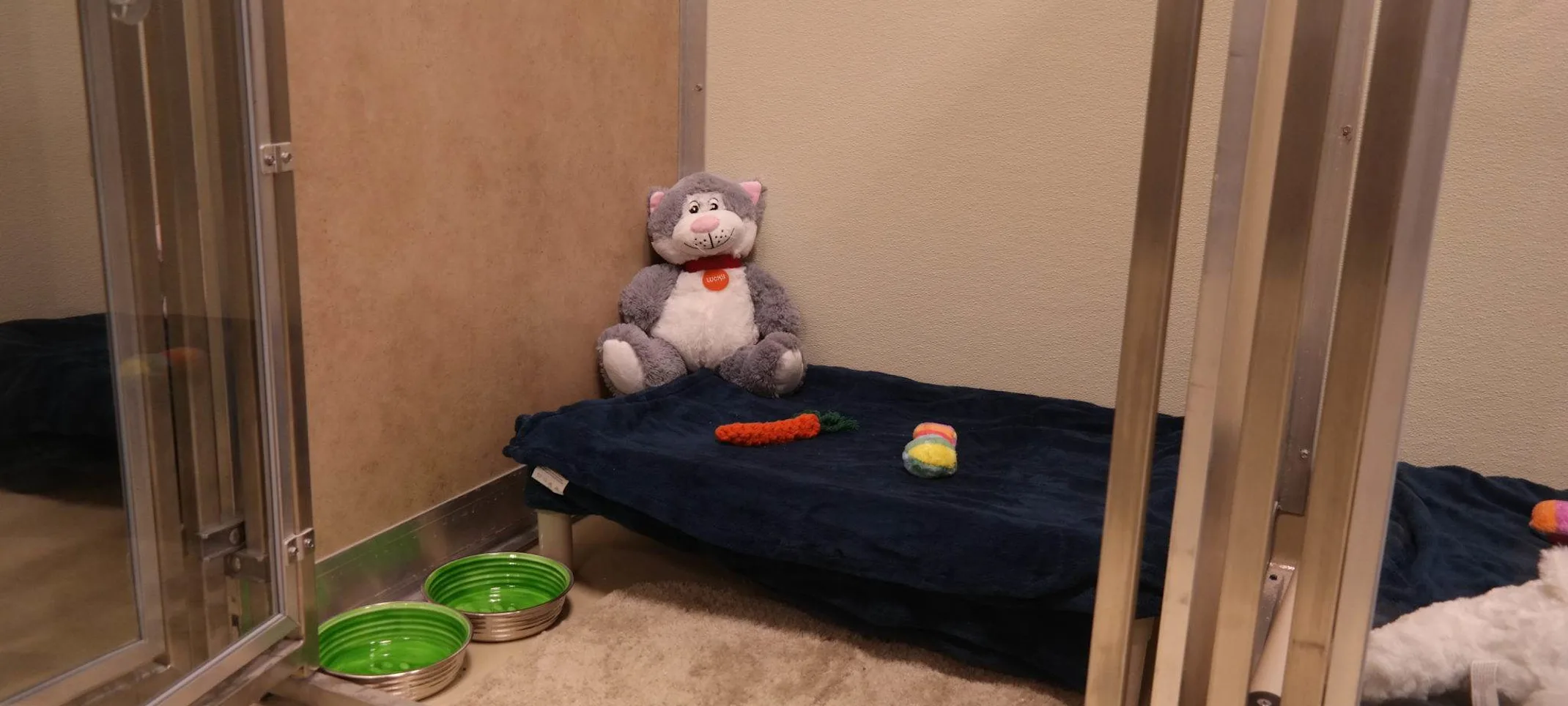 Happy Tails Pet Resort Tiny Town Luxury Suite Happy Tails Pet Resort Tiny Town Luxury Suite