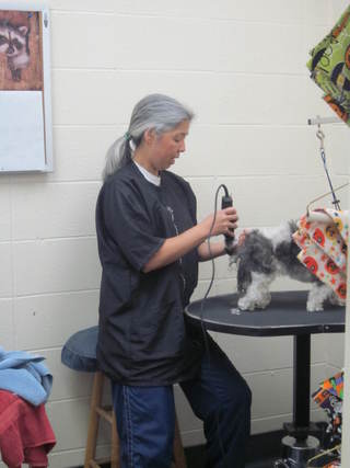 Florissant Animal Hospital Groomer