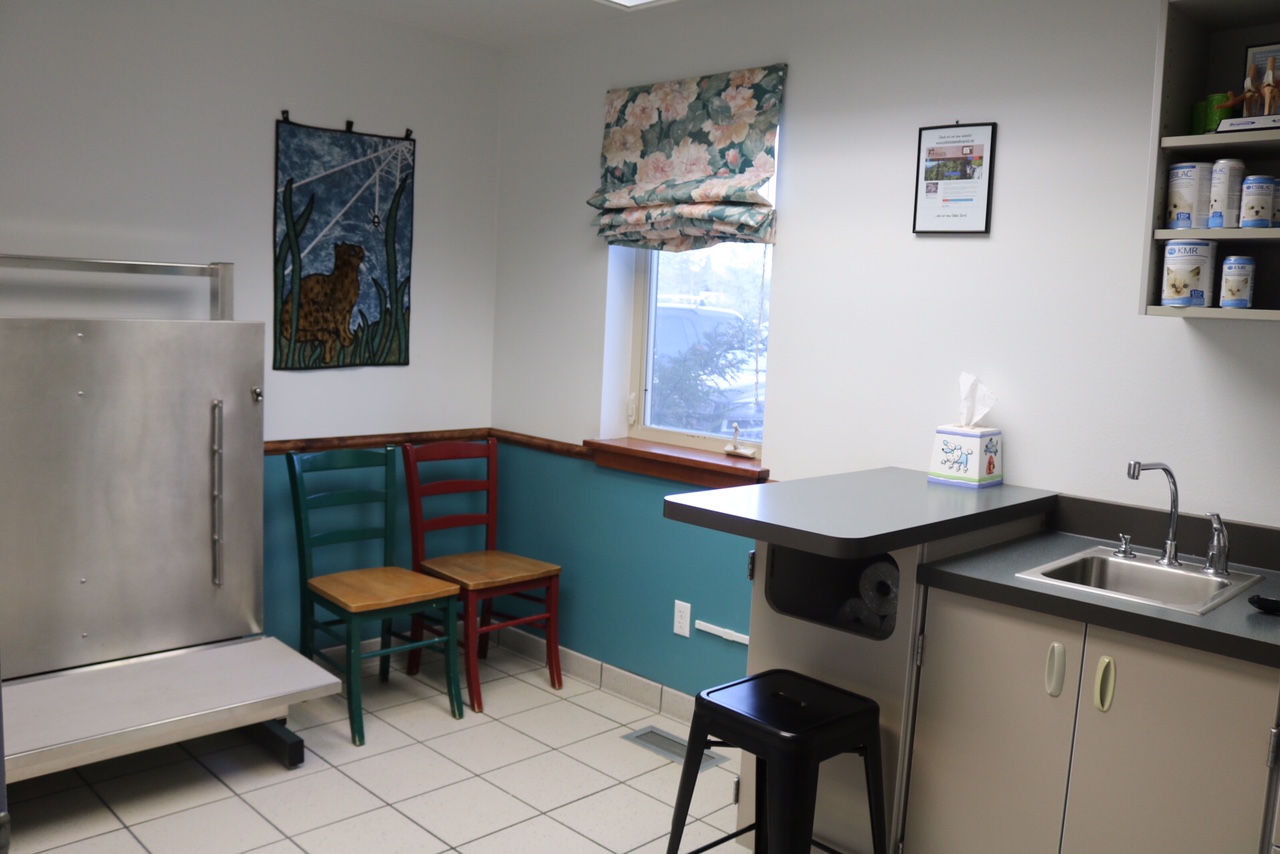 Soldotna Animal Hospital Examination Area