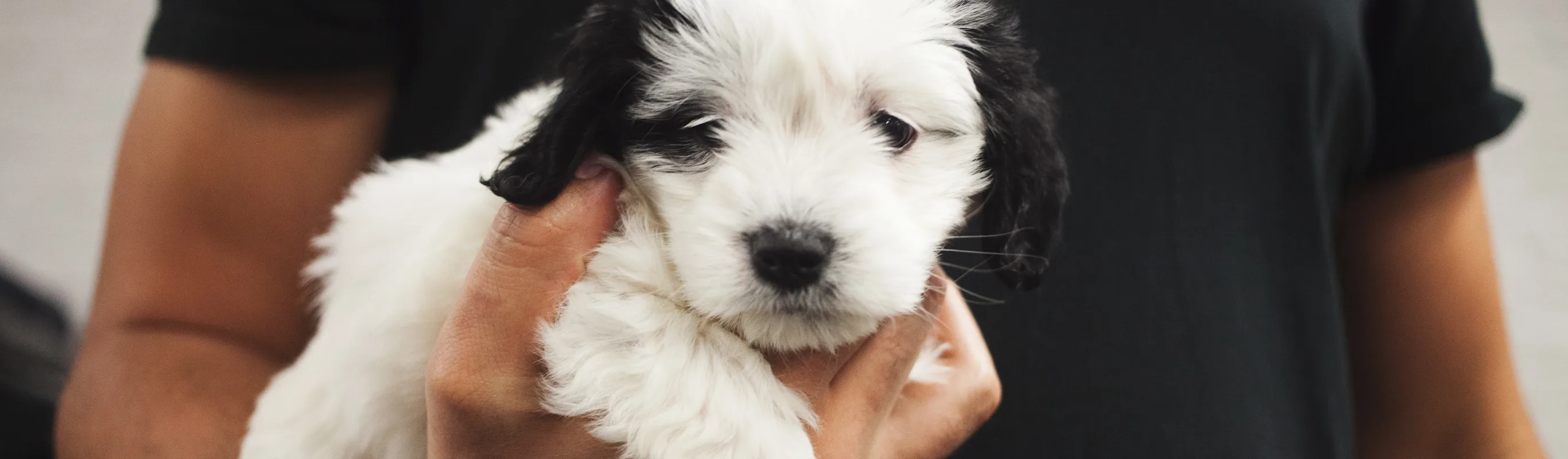 Man holding a puppy