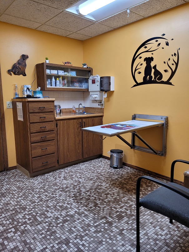Kimberly Pines Veterinary Hospital Exam Room