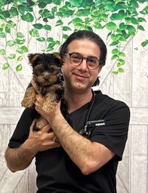 Dr. Mehdi Alinezhad