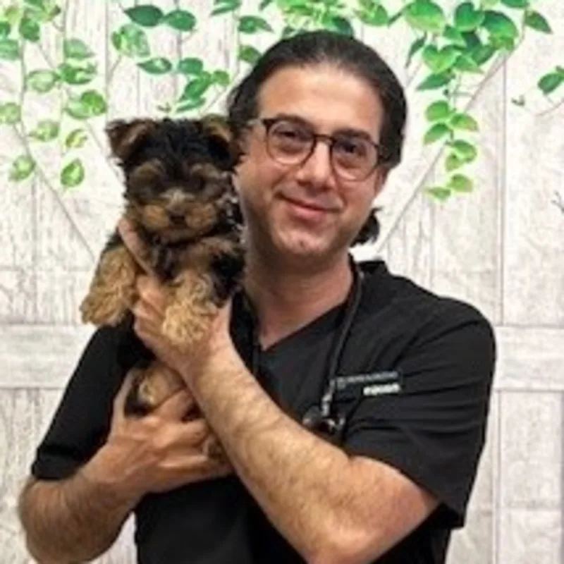 Dr. Mehdi Alinezhad Dr. Mehdi Alinezhad