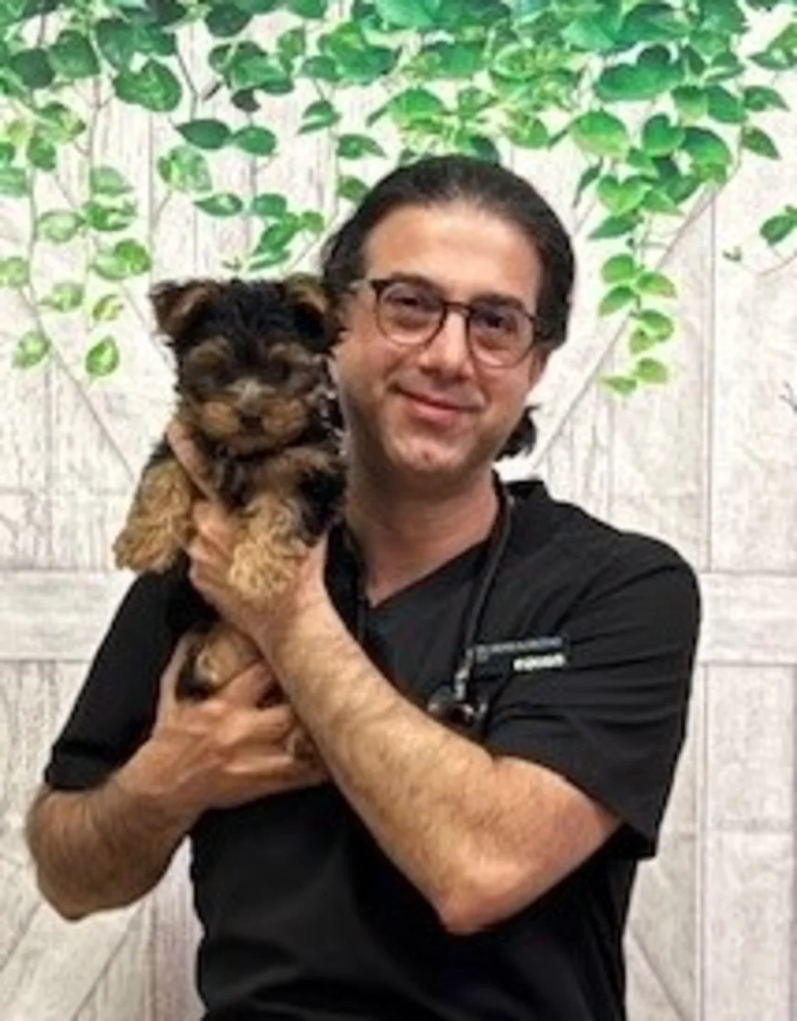 Dr. Mehdi Alinezhad Dr. Mehdi Alinezhad