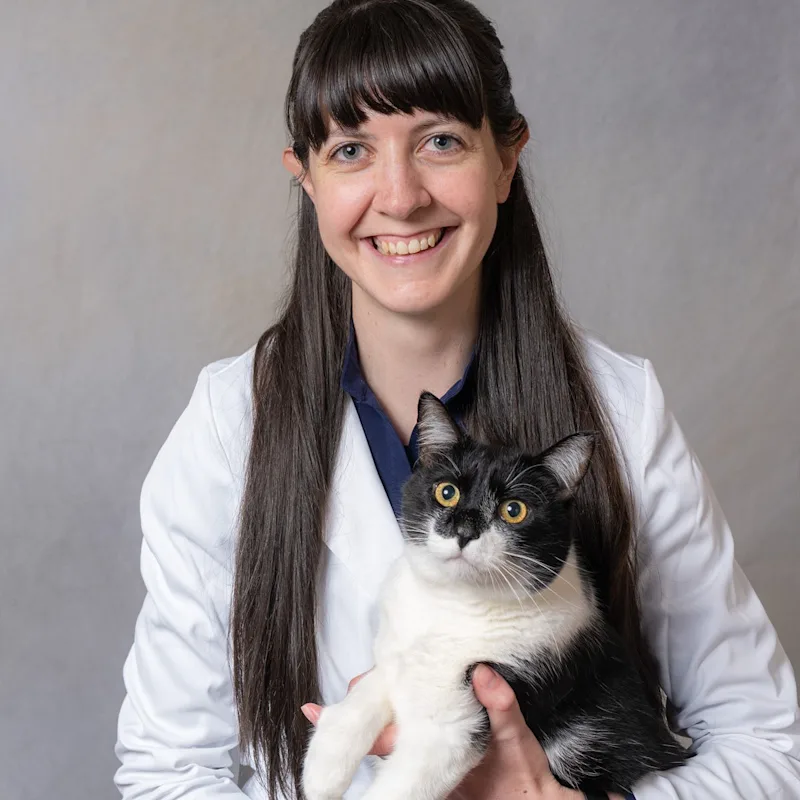 Dr. Victoria Wellock Dr. Victoria Wellock