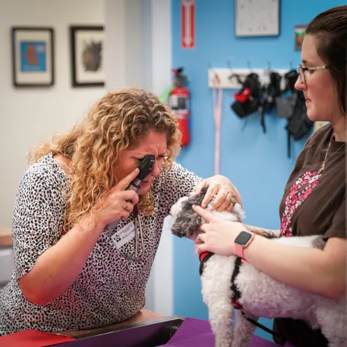 Dr. Grimm examining a small white dog's eyes