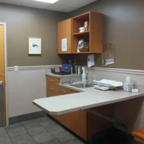 Cat Exam Room at Animal Hospital of Signal Mountain Cat Exam Room at Animal Hospital of Signal Mountain