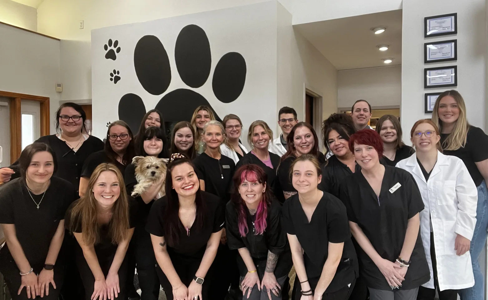 Hidden Valley Animal Hospital - Missouri Staff