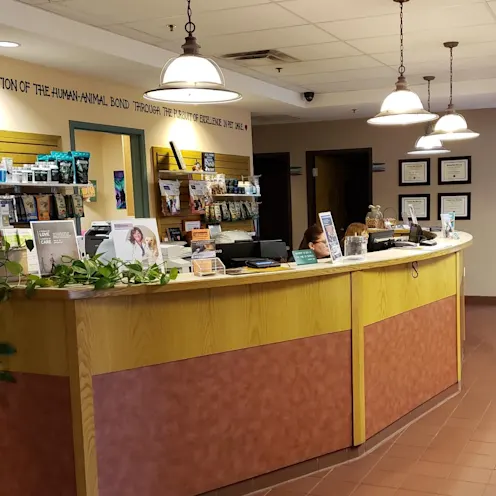 Large, spacious lobby with reception desk at Friendship Hospital for Animals Large, spacious lobby with reception desk at Friendship Hospital for Animals