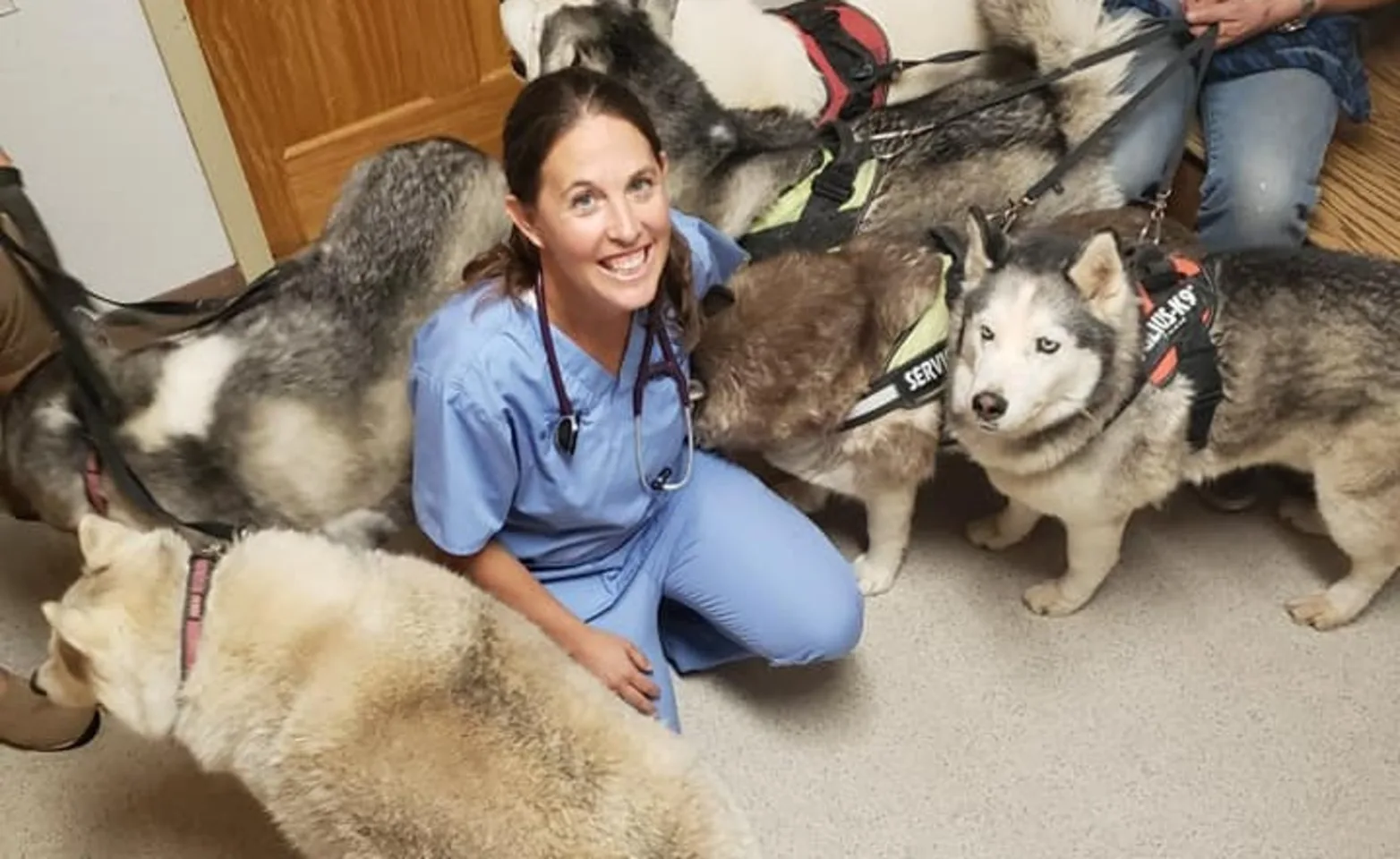 Staff with huskies Staff with huskies
