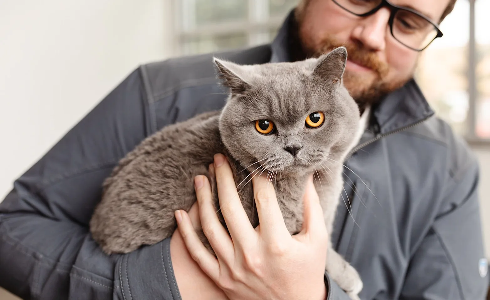 Man holding a cat with orange eyes Man holding a cat with orange eyes