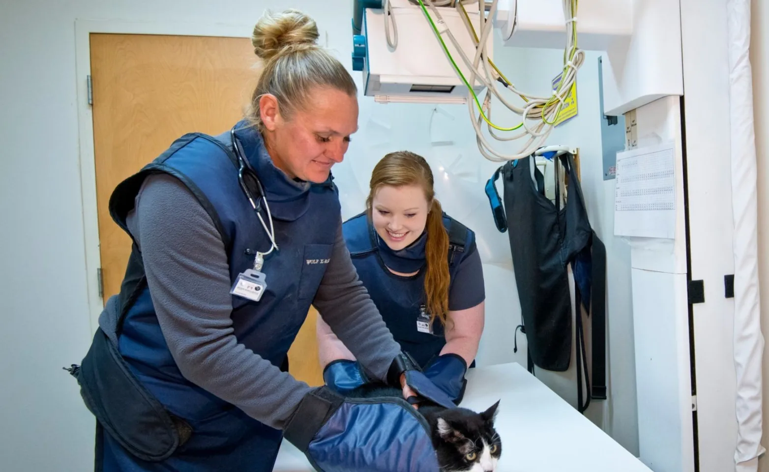 Cat receiving X-ray examination from McAbee Veterinary Hospital Staff