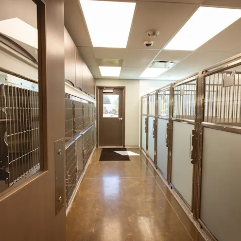 Veterinary Ward Gallery | Carson Valley Veterinary Hospital