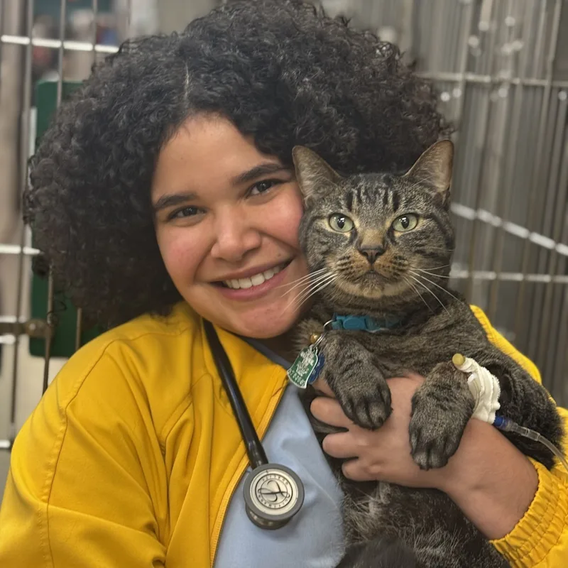 Amarie Lozada Amarie Lozada