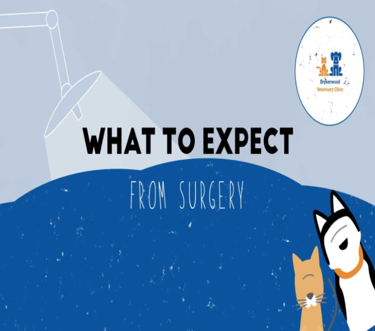 What to Expect from Surgery 