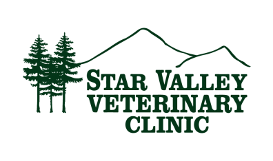 Star Valley Veterinary Clinic Logo