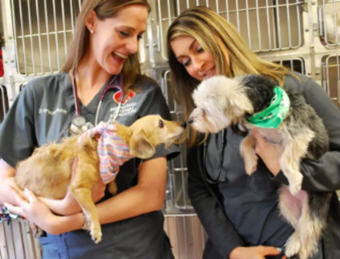Two staff members with dogs Two staff members with dogs