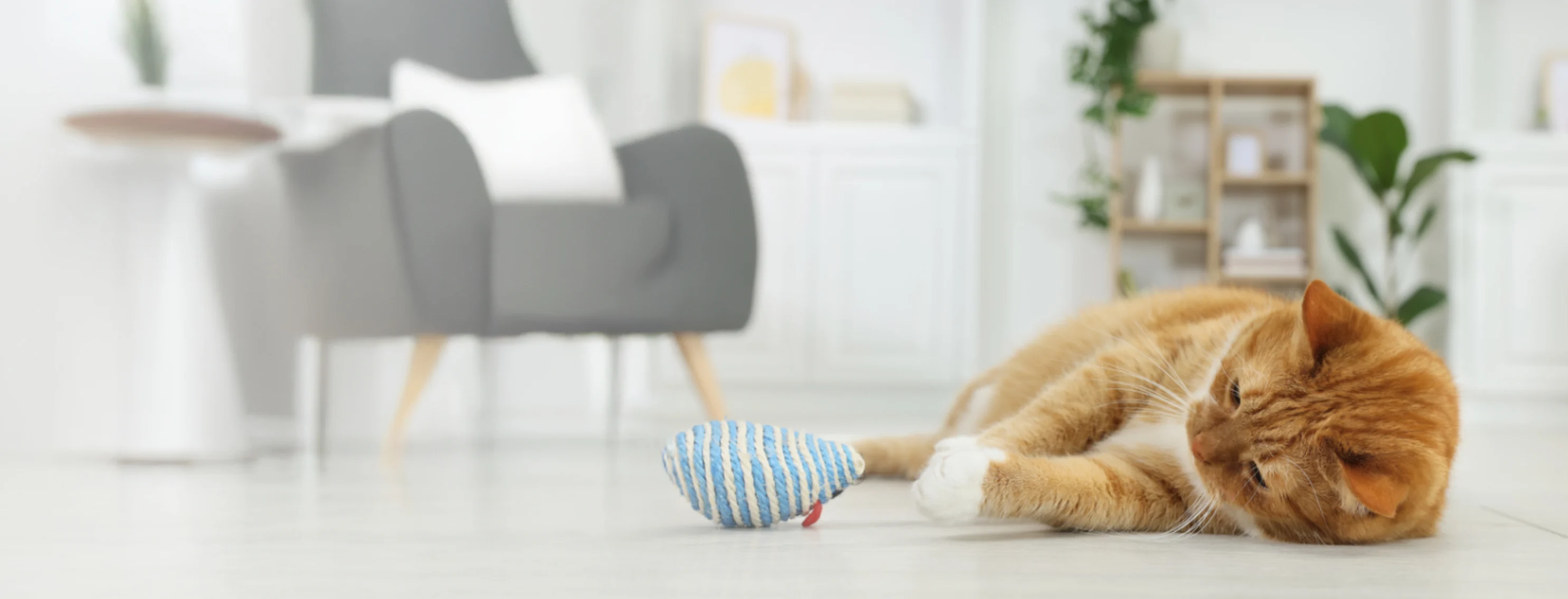 Orange Cat Playing with Blue Striped Mouse Toy Orange Cat Playing with Blue Striped Mouse Toy