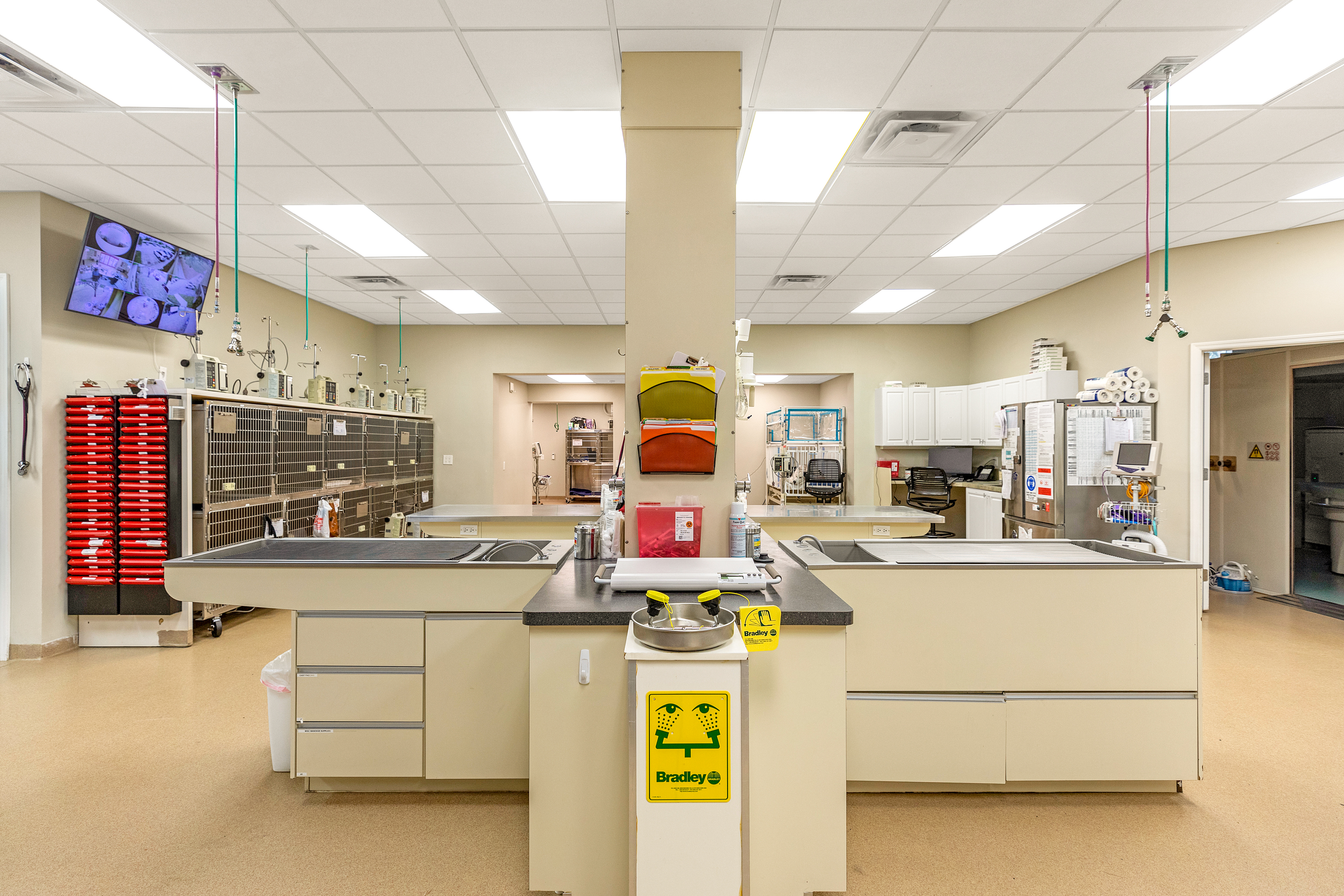 ICU Treatment View 2