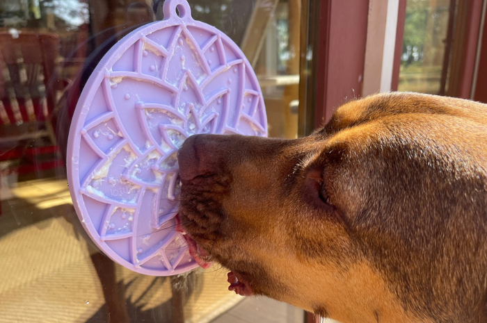 Dogs enjoy lick sticks and lick mats at PetSuites. 