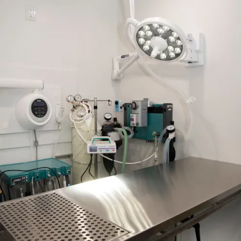 Surgery room with metal table and equipment