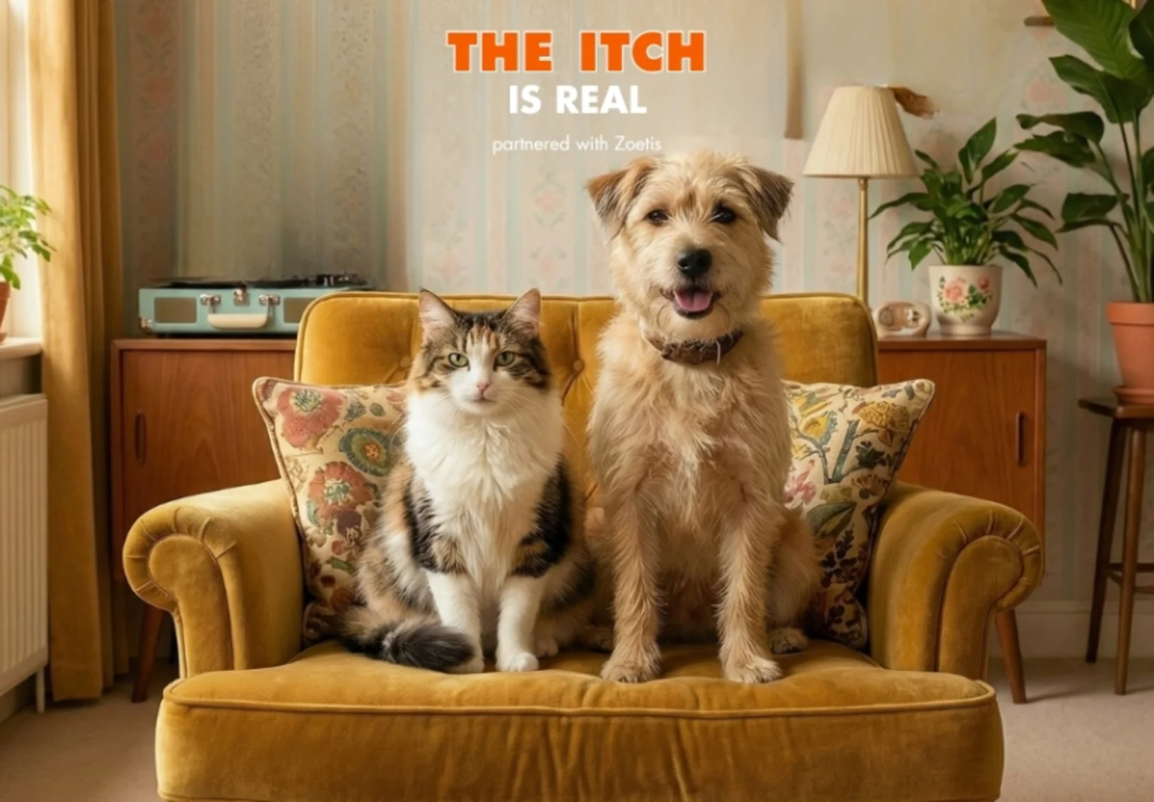 Itchy Pet? Itchy Pet?
