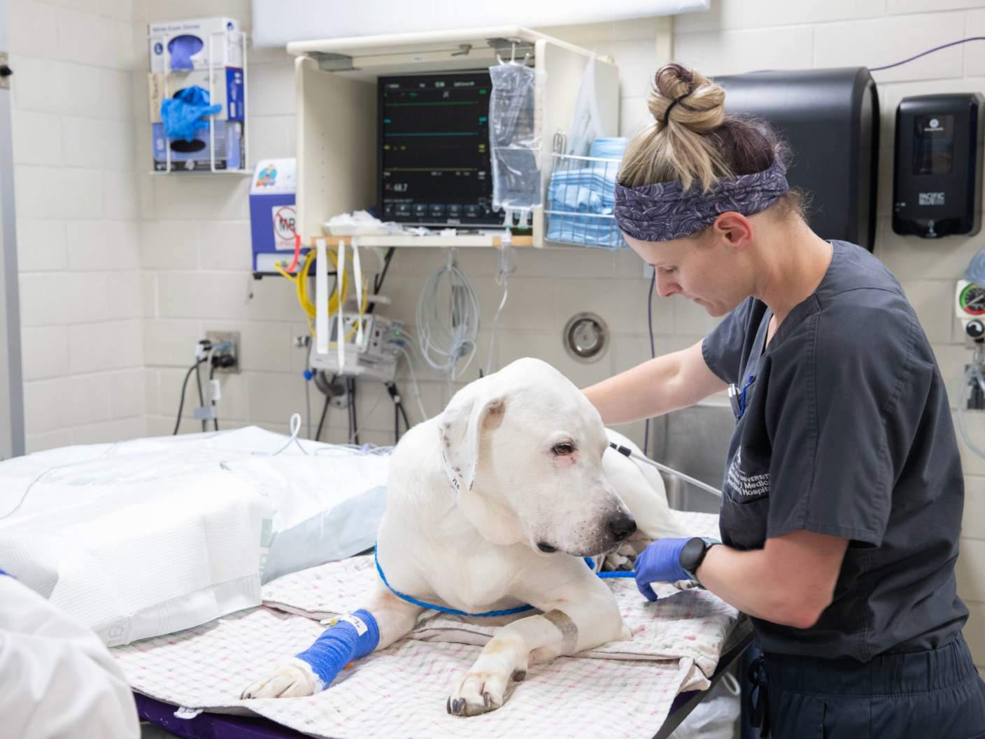 From classroom to clinic: Test your anesthesia knowledge