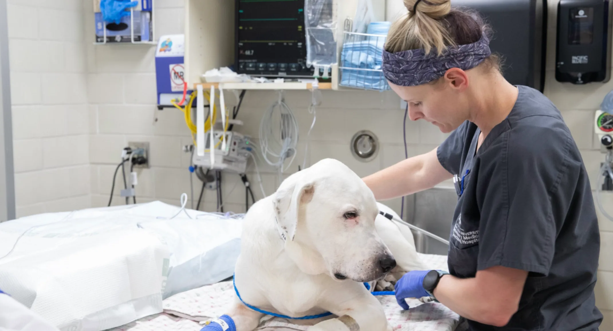 From classroom to clinic: Test your anesthesia knowledge From classroom to clinic: Test your anesthesia knowledge