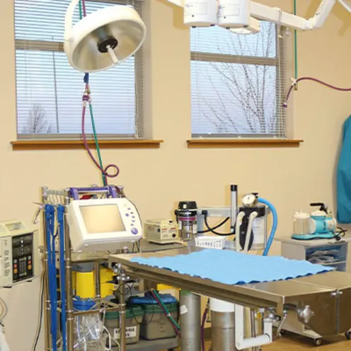 Clinic Surgery Clinic Surgery