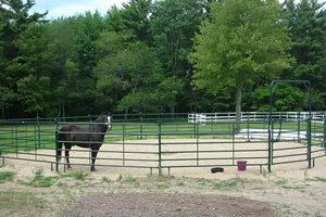 The deep sand round pen can be used as a paddock or for lameness exams.