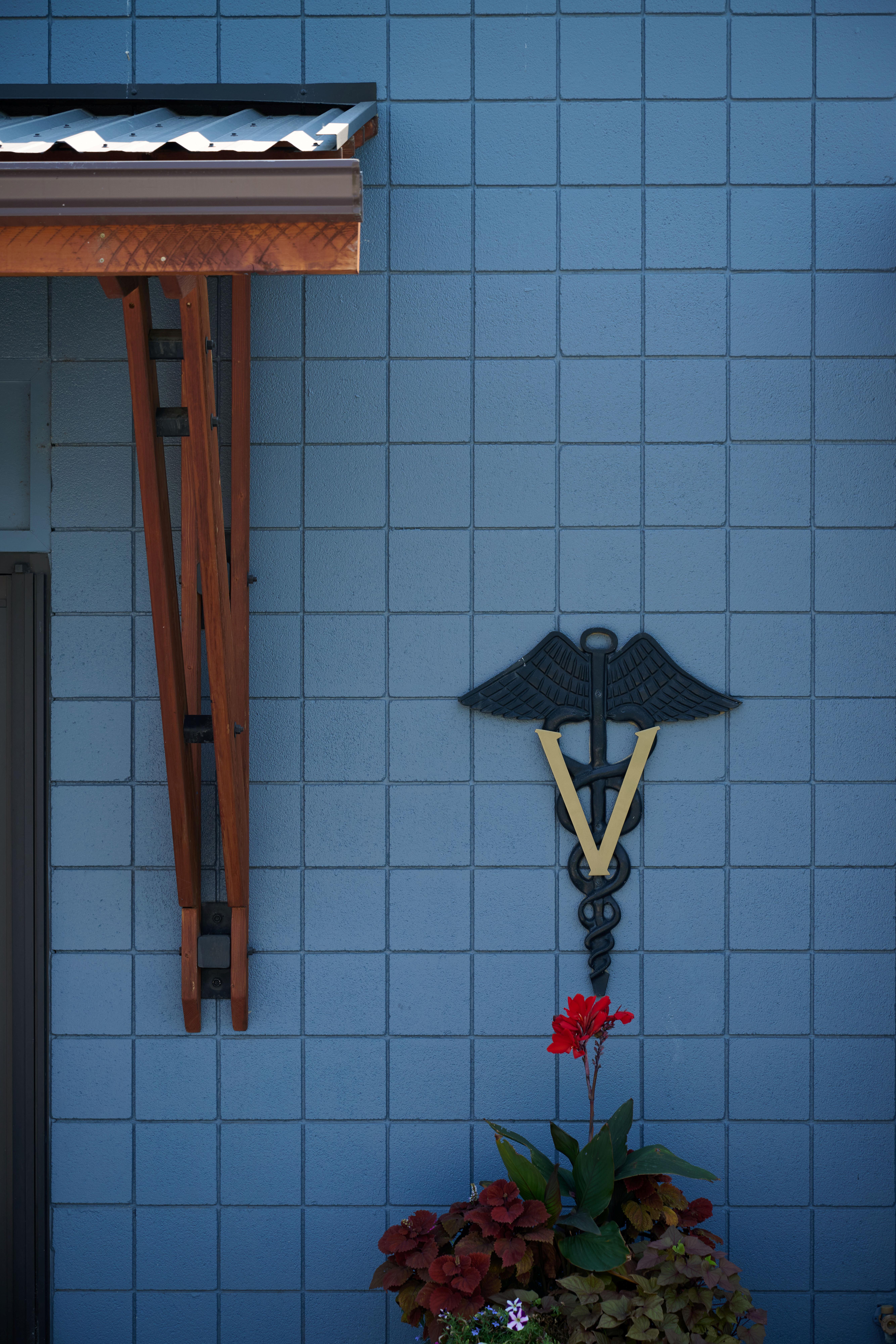 Veterinary medicine crest