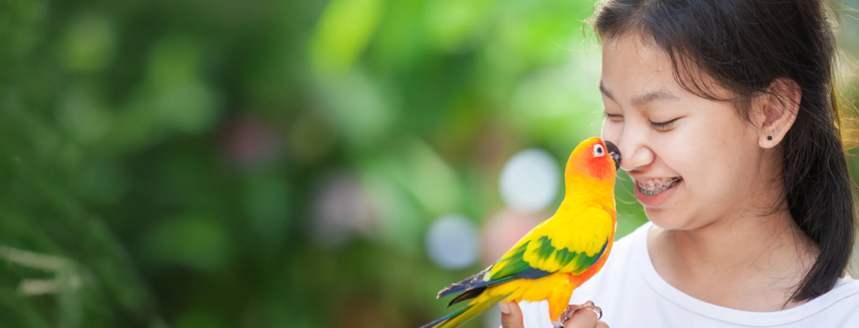 Colorful Bird Touching a Girl's Nose Colorful Bird Touching a Girl's Nose