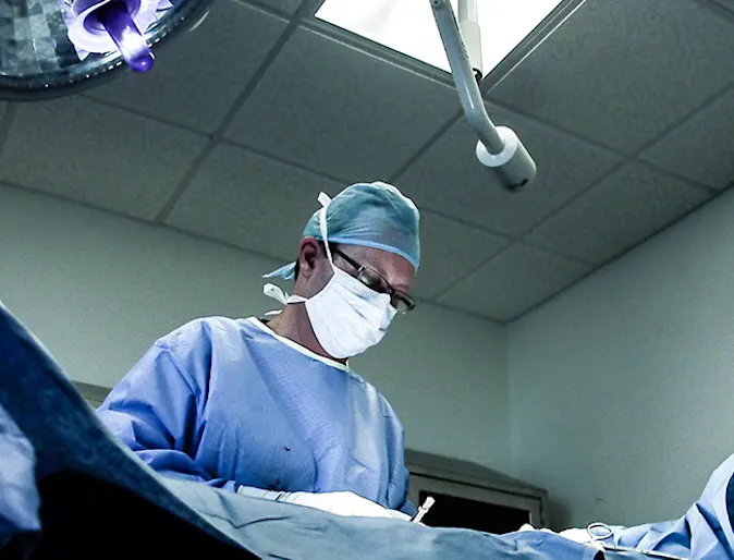 veterinarians performing surgery veterinarians performing surgery