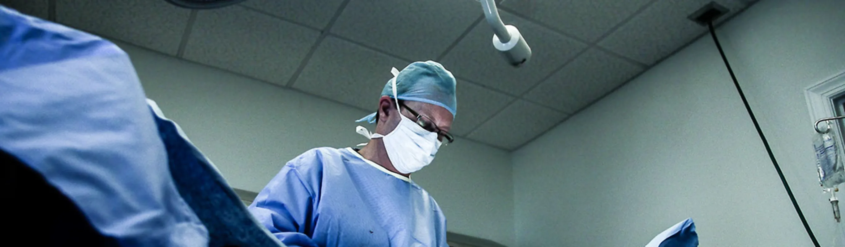 veterinarians performing surgery veterinarians performing surgery