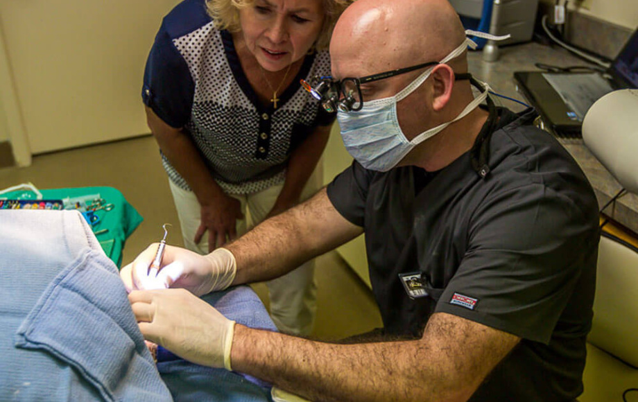 Veterinarian showing a pet parent a tooth issue on their pet