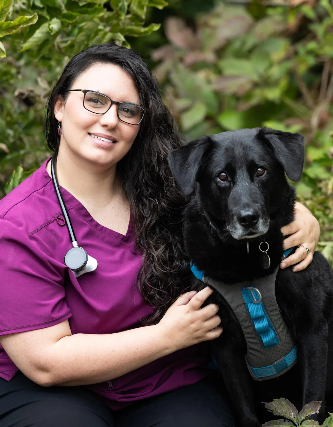 Dr. Sara Dr. Sara