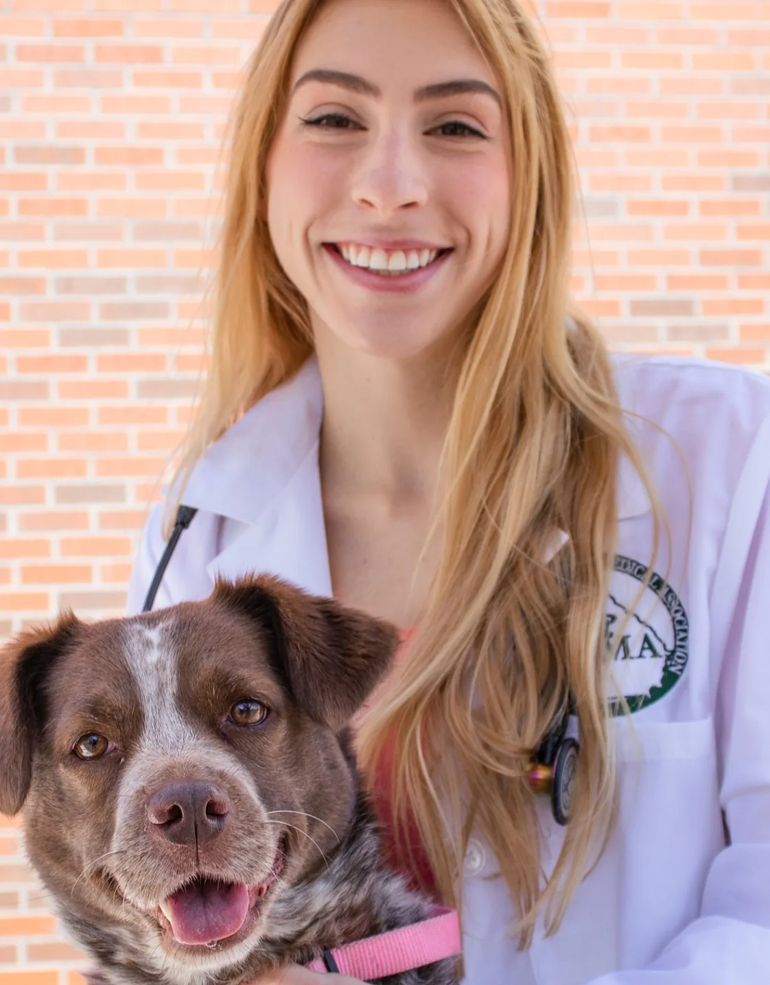 Dr. Sidney Ryan Dr. Sidney Ryan