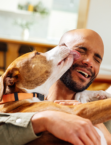 A dog sitting and licking its owner's face in excitement
