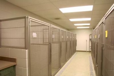 Boarding area of Animal Hospital of Woodstock