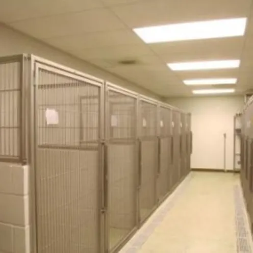 Boarding area of Animal Hospital of Woodstock Boarding area of Animal Hospital of Woodstock