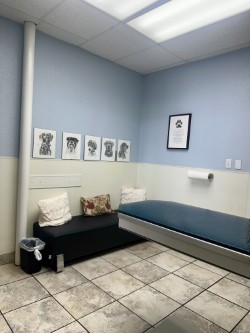 Exam Table