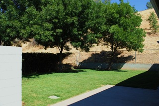 Westside Pet Hospital Yard