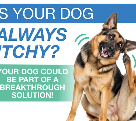 Bradford Park Veterinary Hospital - Canine Atopic Dermatitis Clinical Trial Bradford Park Veterinary Hospital - Canine Atopic Dermatitis Clinical Trial
