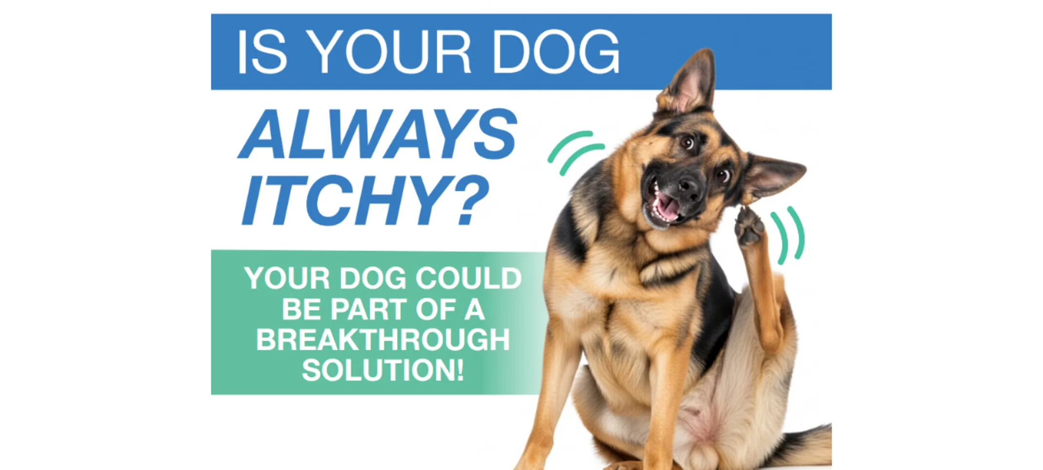 Bradford Park Veterinary Hospital - Canine Atopic Dermatitis Clinical Trial Bradford Park Veterinary Hospital - Canine Atopic Dermatitis Clinical Trial