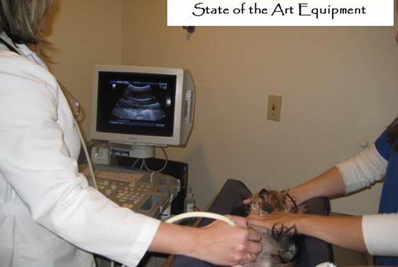 Merced Animal Medical Center Ultrasound