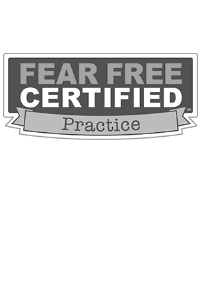 fear free certified practice