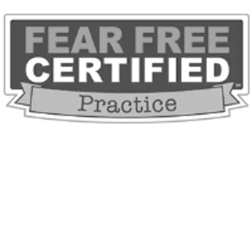 fear free certified practice fear free certified practice