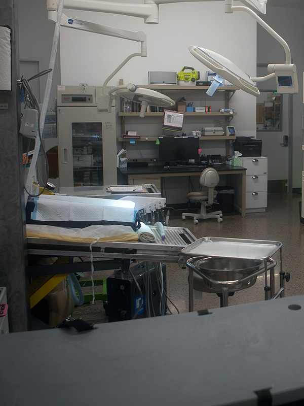 Arizona Animal Hospital Facilities