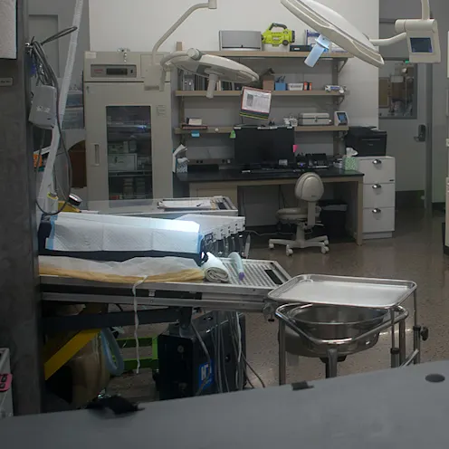 Arizona Animal Hospital Facilities Arizona Animal Hospital Facilities